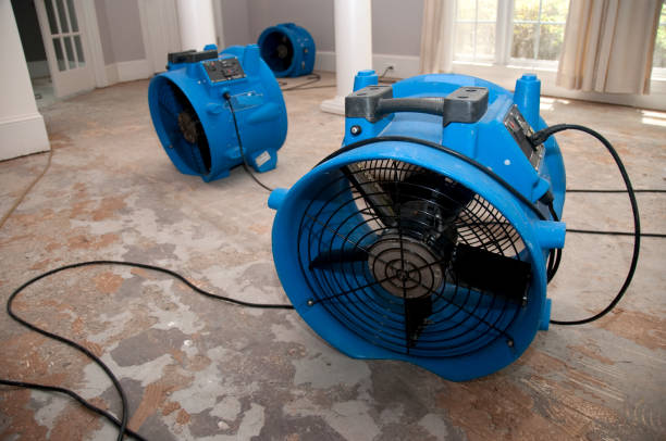 Best Water damage restoration cost  in Hot Springs, SD
