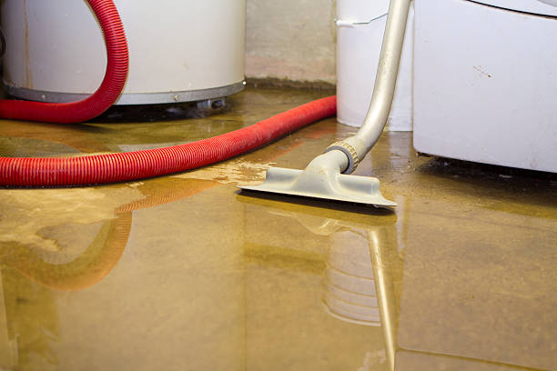 Best Water damage restoration near me  in Hot Springs, SD