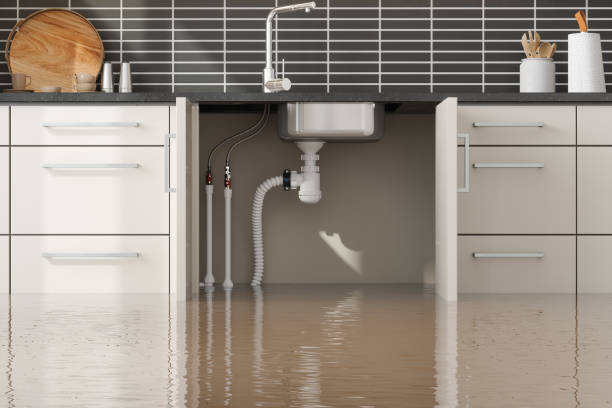 Best Flooded house restoration  in Hot Springs, SD