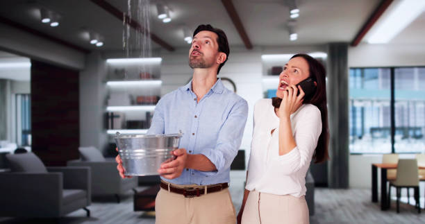 Best Basement water damage restoration  in Hot Springs, SD