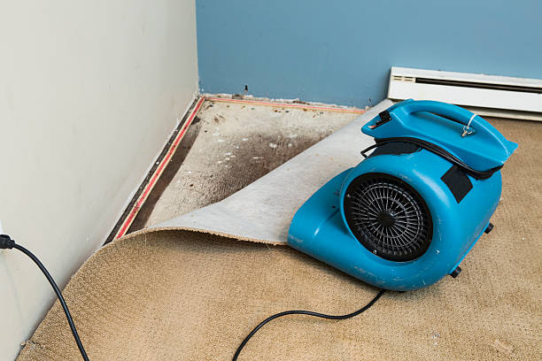 Best Carpet water damage restoration  in Hot Springs, SD